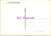 Load image into Gallery viewer, France Postcard - Cathedrale Russe De Nice SW16201