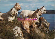 Load image into Gallery viewer, Animals Postcard - Dogs, Cairn Terriers on The Cliff Edge SW15215