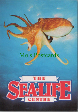 Animals Postcard - The Sea-Life Centre, Lesser Octopus   SW13743