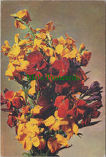 Load image into Gallery viewer, Nature Postcard - Flowers, Wallflower SW13749