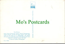 Load image into Gallery viewer, Nature Postcard - Flowers, Cornflower SW13750