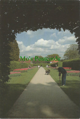 Surrey Postcard - The Top Terrace, Wisley Gardens, Wisley SW13725
