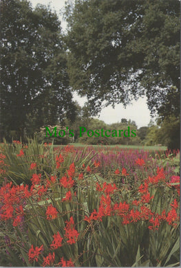 Surrey Postcard - Seven Acres, Wisley Gardens, Wisley SW13727