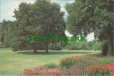 Surrey Postcard - Perennial Island Beds, Wisley Gardens, Wisley SW13729