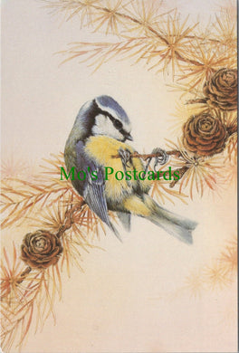 Bird Art Postcard - Blue Tit, Artist Tony Green  SW13633