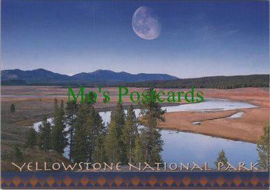 America Postcard - Hayden Valley and Yellowstone River  SW13708