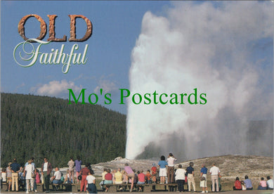 America Postcard - Yellowstone National Park, Old Faithful  SW13709