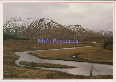 Scotland Postcard - Deep In The Heart of Glen Affric  SW14056