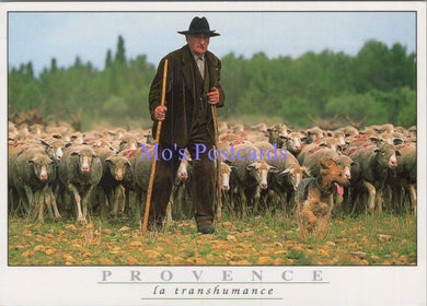 France Postcard - Provence, La Transhumance   SW14075