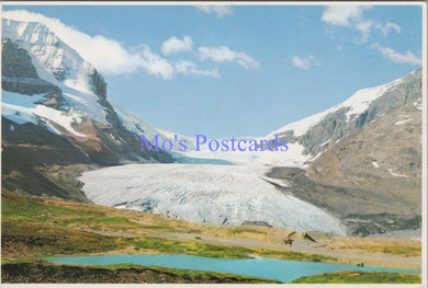 Canada Postcard - Canadian Rockies, The Columbia Icefields SW14106
