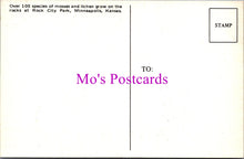 Load image into Gallery viewer, America Postcard - Rock City Park, Minneapolis, Kansas SW15645