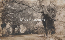 Load image into Gallery viewer, Nature Postcard - Burnham Beeches, Woodland Scene SW16574