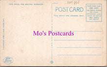 Load image into Gallery viewer, America Postcard - Masonic Temple and Olean House By Night, New York HM446