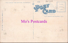 Load image into Gallery viewer, America Postcard - Masonic Temple, Mount Morris, New York  HM450