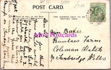 Load image into Gallery viewer, Sussex Postcard - Chapel Wood, Nutley   HM541