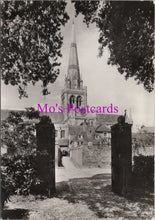 Load image into Gallery viewer, Sussex Postcard - Chichester Cathedral. Exterior From The South SW15253