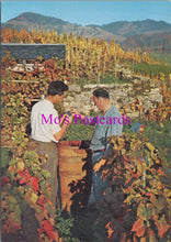 Load image into Gallery viewer, Switzerland Postcard - Grape Gathering in Montreaux SW15277