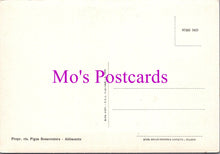 Load image into Gallery viewer, Italy Postcard - Abbasanta, Nuraghe Losa, Monumento Nazionale SW15306