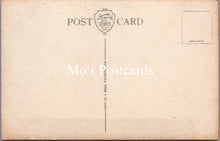 Load image into Gallery viewer, Northern Ireland Postcard - Shane's Castle, Randalstown  SW15336