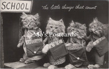 Load image into Gallery viewer, Animals Postcard - Cats, Kittens, The Little Things That Count SW15737