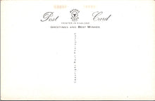 Load image into Gallery viewer, Animals Postcard - Dogs, Puppies, When Shall We Hear From You SW15738