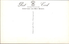 Load image into Gallery viewer, Animals Postcard - Cats, Kittens, We Are All Ready! SW15740