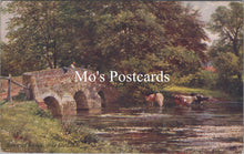 Load image into Gallery viewer, Surrey Postcard - Somerset Bridge, Near Elstead SW15751