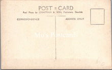 Load image into Gallery viewer, Animals Postcard - Dartmoor Ponies SW15876