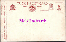 Load image into Gallery viewer, Animals Postcard - Cats, Persian Pussies, Little Snow White SW14731