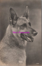 Load image into Gallery viewer, Animals Postcard - Dogs, Bob The Alsatian, German Shepherd SW14732