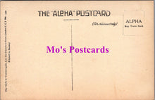 Load image into Gallery viewer, Animals Postcard - Dogs, Thistle The Terrier SW14734