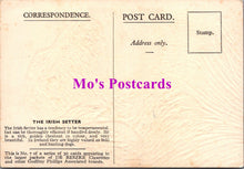 Load image into Gallery viewer, Animals Postcard - Dogs, The Irish Setter SW14737