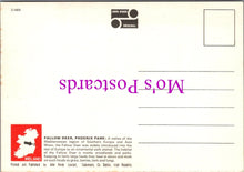 Load image into Gallery viewer, Animals Postcard - Fallow Deer, Phoenix Park, Dublin  SW15443