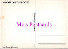 Load image into Gallery viewer, Animals Postcard - Moose on The Loose  SW15481