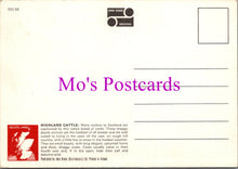 Load image into Gallery viewer, Animals Postcard - Highland Cattle, Scotland  SW15488