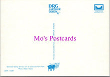 Load image into Gallery viewer, Animals Postcard - Sheep, Orkney Ram SW14314