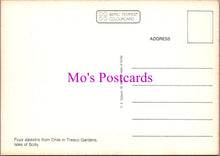 Load image into Gallery viewer, Flowers Postcard - Puya Alpestris in Tresco Gardens, Isles of Scilly SW14321