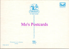 Load image into Gallery viewer, Animals Postcard - British Wild Animals, The Otter  SW14336

