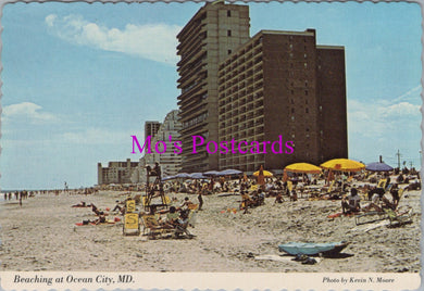America Postcard - Beaching at Ocean City, Maryland  SW14338
