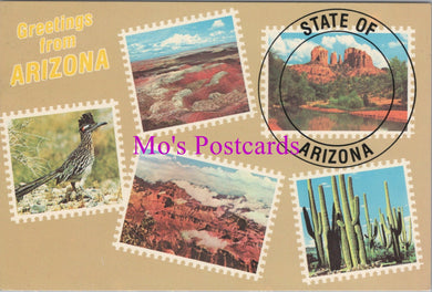 America Postcard - Postage Stamp Greetings From Arizona   SW14346 