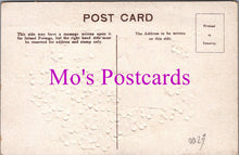 Load image into Gallery viewer, Embossed Greetings Postcard - Prosperous May The New Year Be!  DZ102