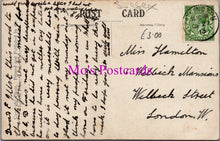 Load image into Gallery viewer, Sussex Postcard - Entrance To Petworth Park   DZ112