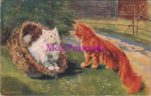 Load image into Gallery viewer, Animals Postcard - Artist View of Two Cats Playing    DZ114
