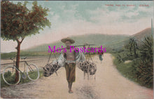 Load image into Gallery viewer, China Postcard - Taking Pigs To Market  DZ131