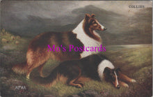 Load image into Gallery viewer, Animal Art Postcard - Two Collie Dogs   DZ336
