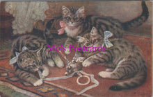 Load image into Gallery viewer, Animal Postcard - Catland, Three Cats Playing   DZ338
