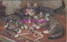 Load image into Gallery viewer, Animal Postcard - Catland, Three Cats Playing DZ338