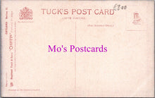 Load image into Gallery viewer, Animal Postcard - Catland, Three Cats Playing DZ338