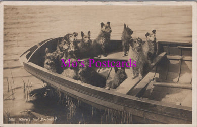 Animal Postcard - Terrier Dogs, Where's that Boatman?  DZ339