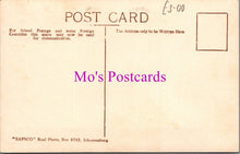 Load image into Gallery viewer, Animals Postcard - Hippopotamus, South African Wildlife  DZ343